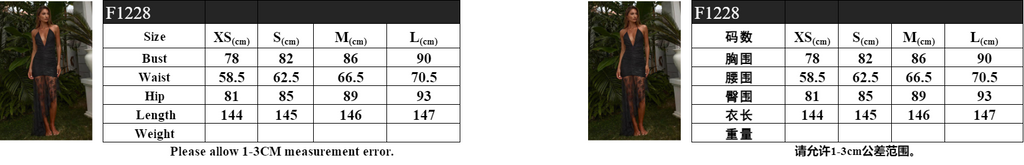 Sheer sexy fitted lace dress